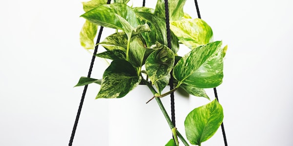 世界杯体育场全景灯光璀璨夜景 - 座无虚席的球迷看台